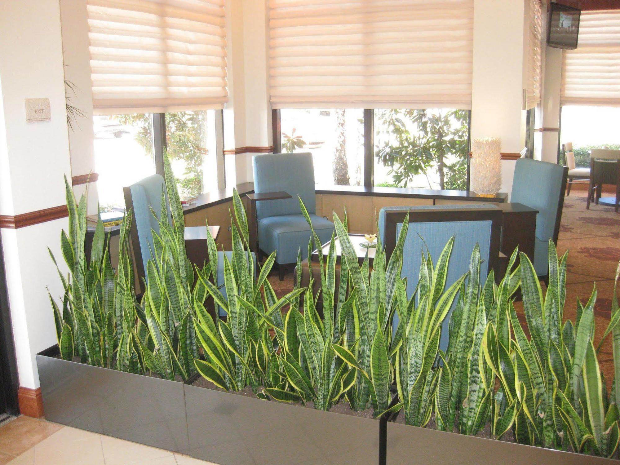 Courtyard By Marriott Dallas Arlington Entertainment District Εξωτερικό φωτογραφία